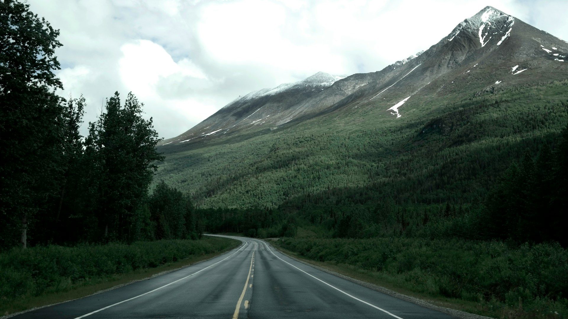 Wildlife Viewing and Nature Tours in Palmer